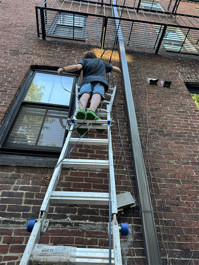 Ladder Cables